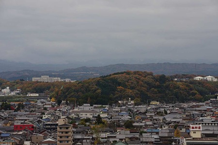 1011230955_DSC_3690