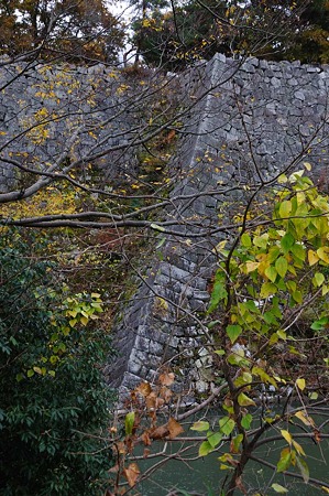 1011231031_DSC_3706