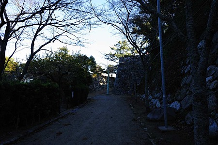 1011231525_DSC_4776