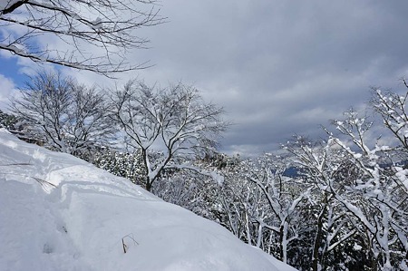1101011210_DSC_6171