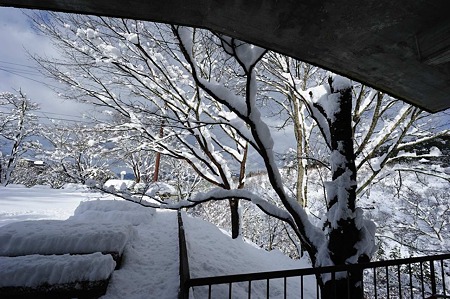 1101011212_DSC_6181