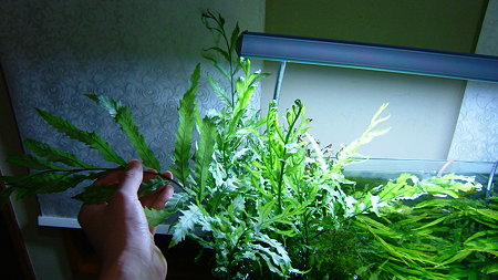 DSCF2269