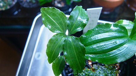 DSCF0247