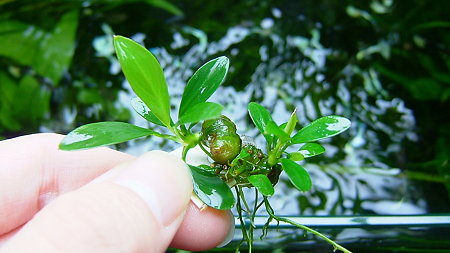 DSCF2893