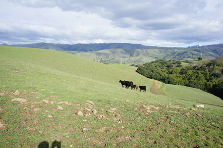DSC02471