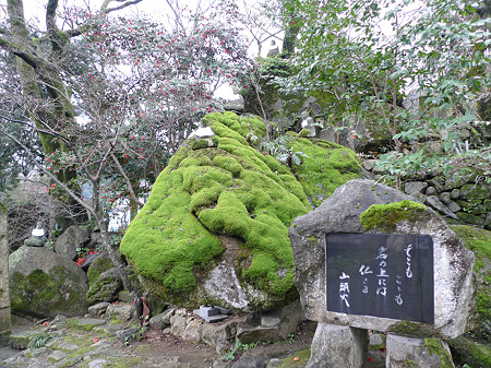 ふる里からわ梅まつり(1)