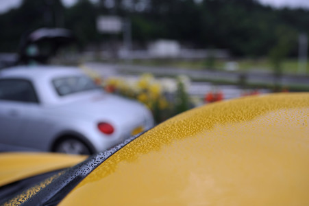 DSC_4703d