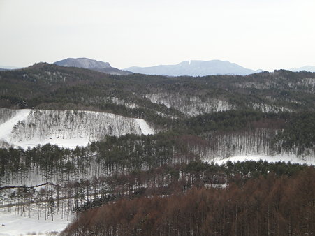 DSC04732