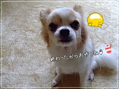 DSCF2363