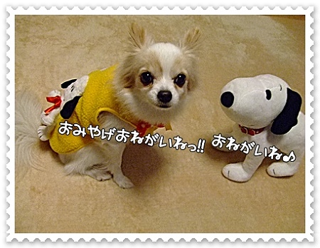 おみやげ