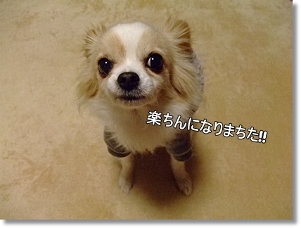 楽ちん