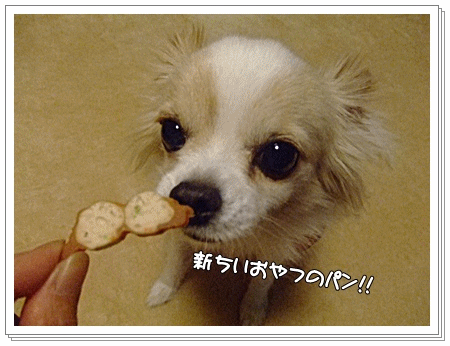 パン