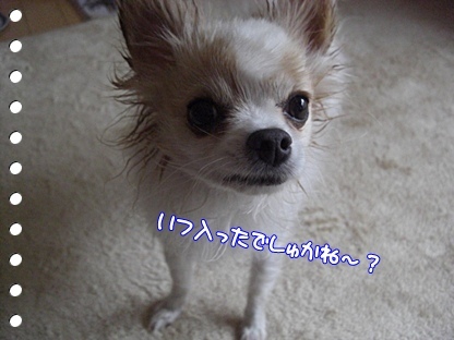 いつ?