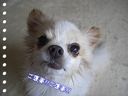 ご褒美