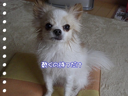 待つだけ