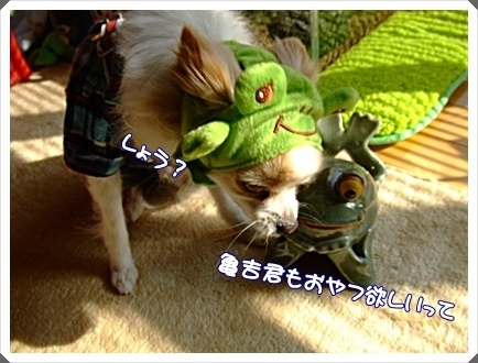 DSCF4962