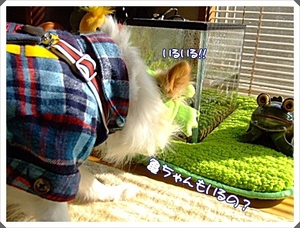DSCF4977