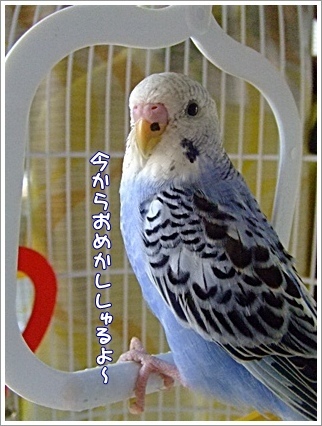 おめかし