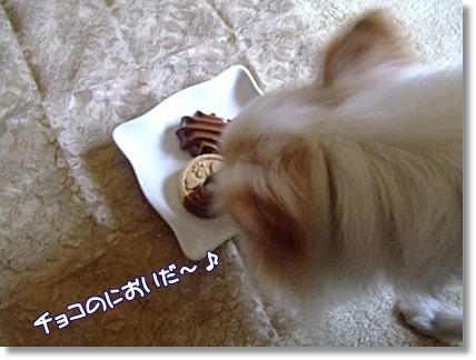 チョコの匂い