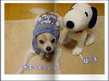 手の長さ