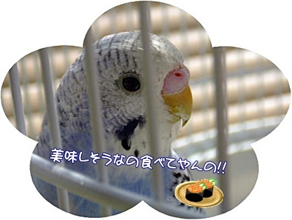 いいな~♪
