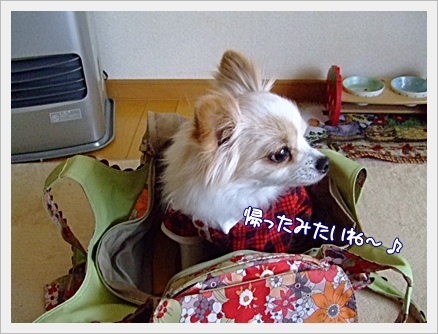 帰った?