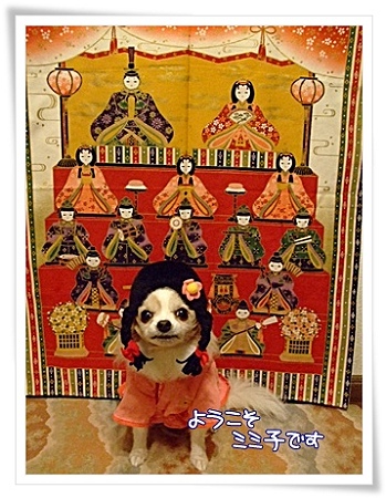いらっしゃい