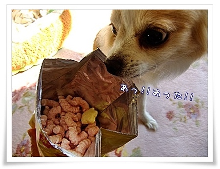 カナエルコーン