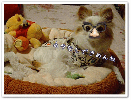 ごめん