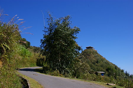IMGP5775