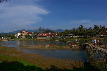 IMGP7547