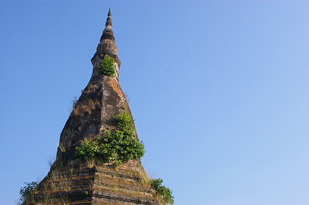 IMGP7755