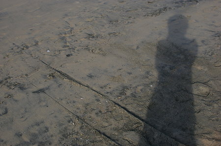 IMGP1894