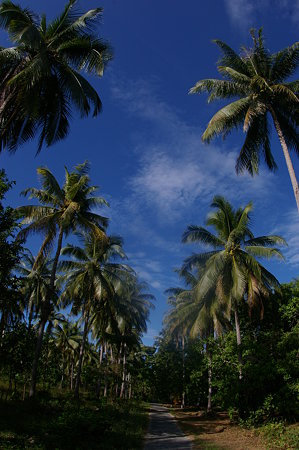 IMGP3638