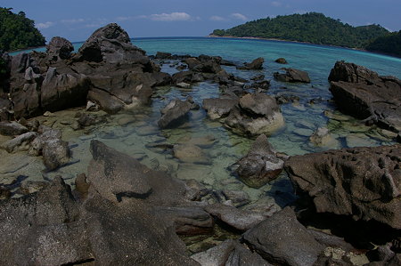 IMGP6454