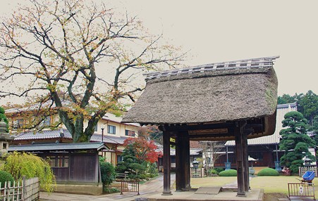 IMGP2952