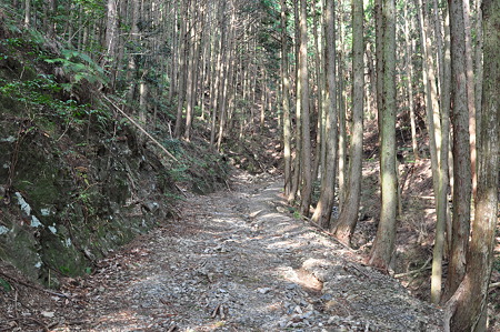 国道260号線・中坂隧道旧道-3