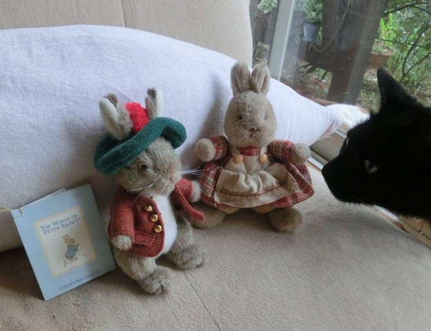 RabbitBen_CIMG2949