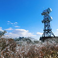 樹氷と冬の空