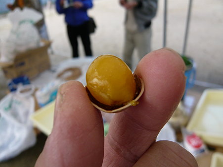 食文化の集い 021