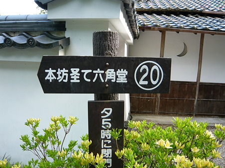 2011.5.8 113