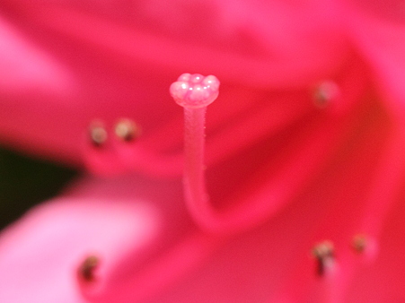 100503_07