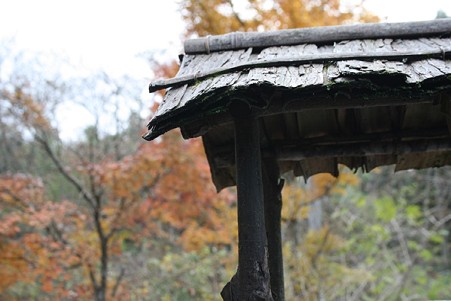 2009_1201休憩屋根