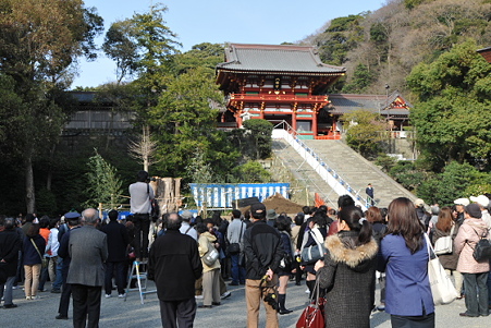 大銀杏再生祈願 06
