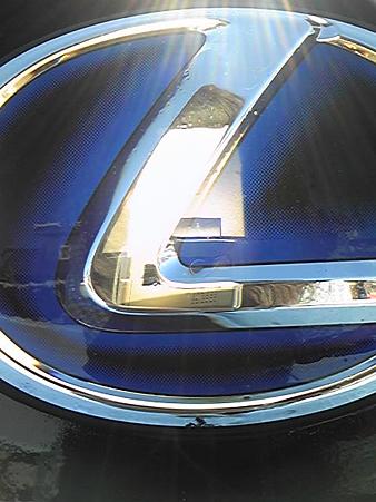 LEXUSエンブレム　カビ？？