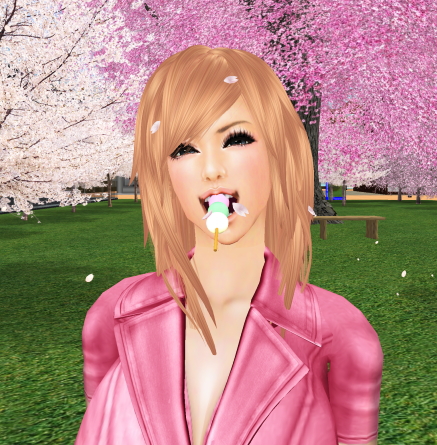 040503