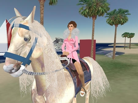 Snapshot_009666