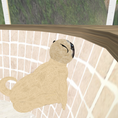 Snapshot_296 Snapshot_296