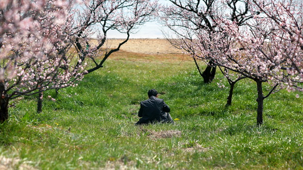 Photos: 春を　食べている　男